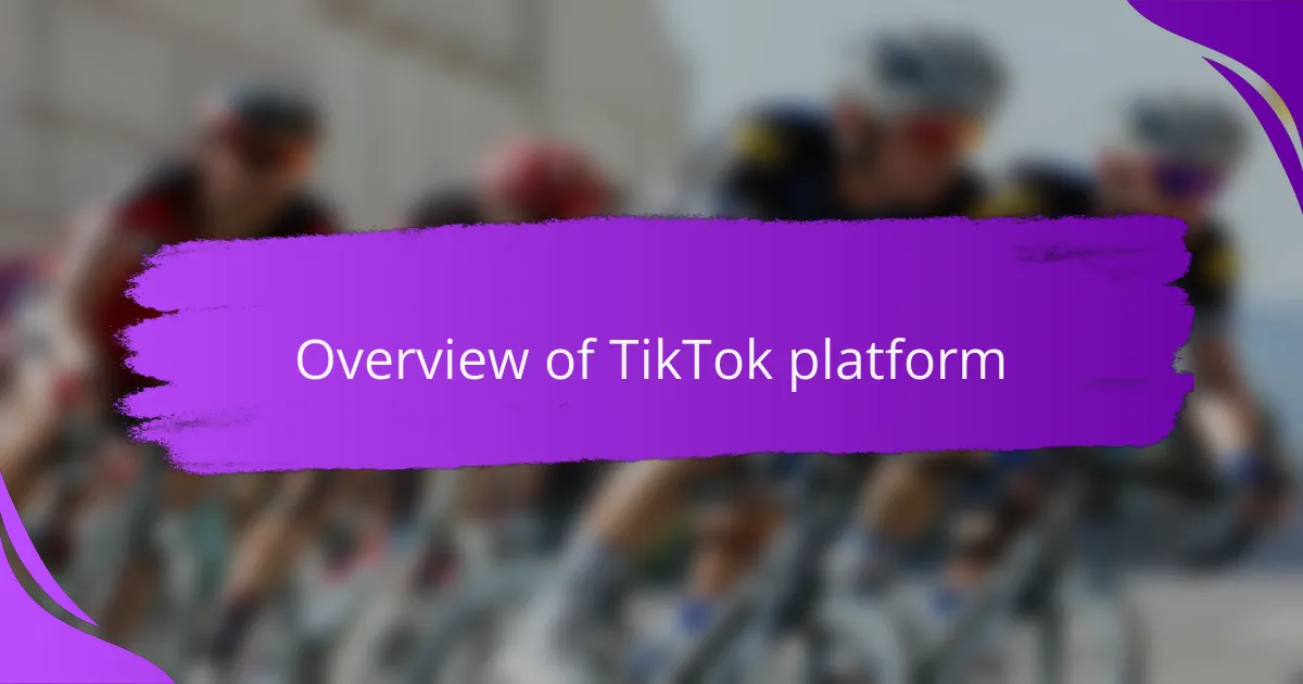 Overview of TikTok platform